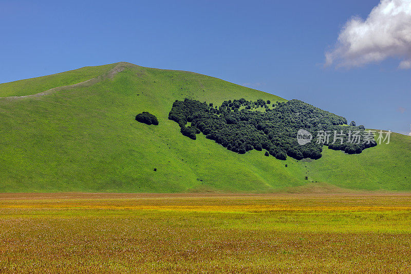 Piano Grande di Castelluccio(意大利)，绿色山丘上的村庄